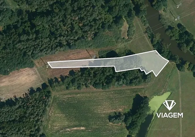 Prodej pole, Žíšov, 4183 m2