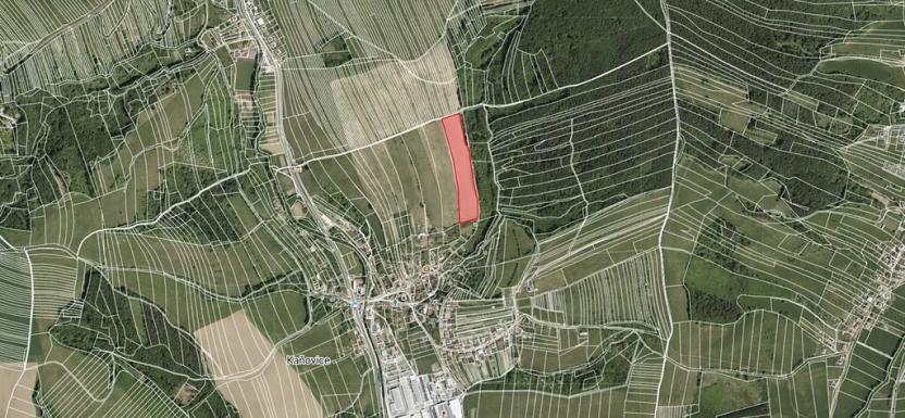 Prodej pole, Kaňovice, 19906 m2