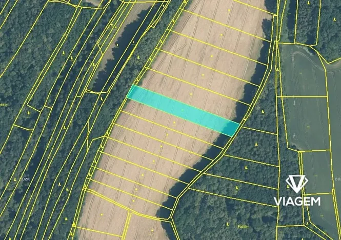 Prodej pole, Hustopeče nad Bečvou, 4151 m2