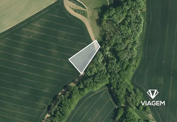 Prodej pole, Vitčice, 3765 m2