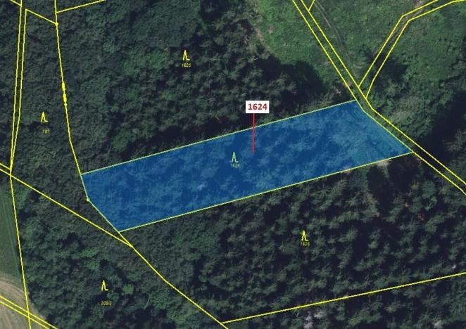 Dražba lesa, Štíty, 3756 m2