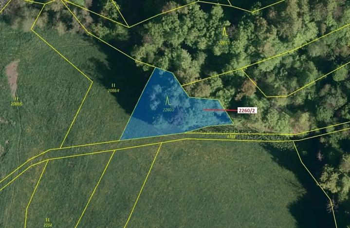 Dražba lesa, Zděchov, 1022 m2