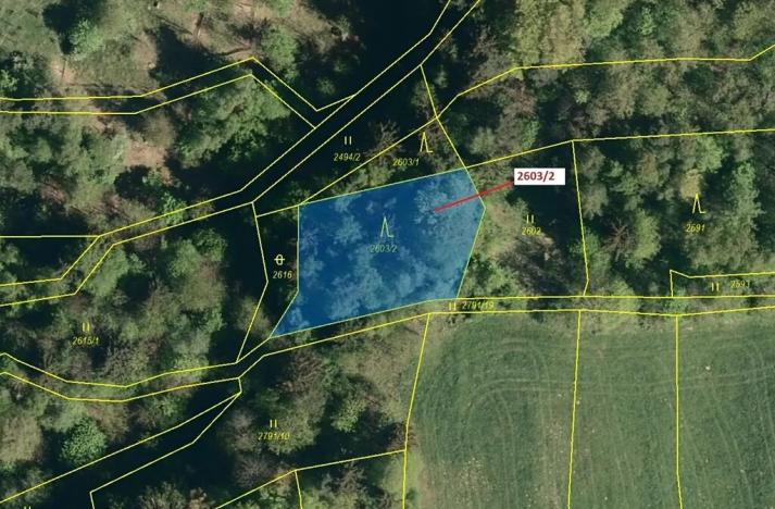 Dražba lesa, Zděchov, 1036 m2