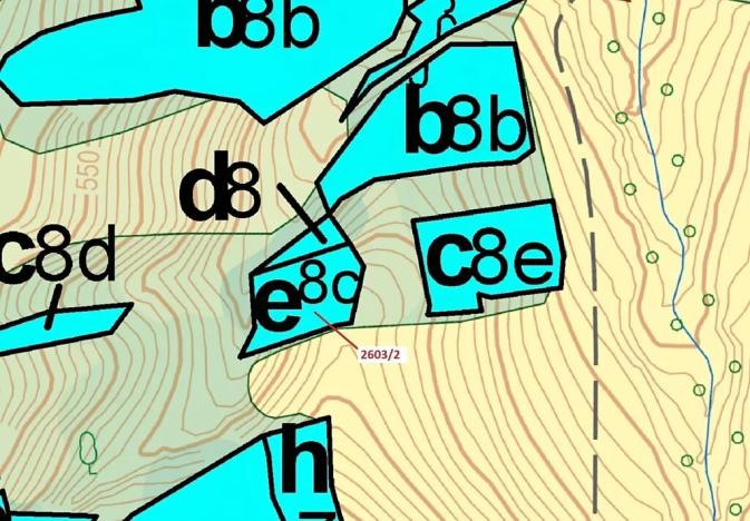 Dražba lesa, Zděchov, 1036 m2