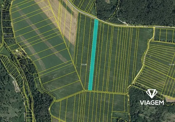 Prodej podílu pole, Suchdol, 2744 m2