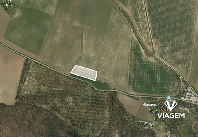 Prodej pole, Vinařice, 6082 m2