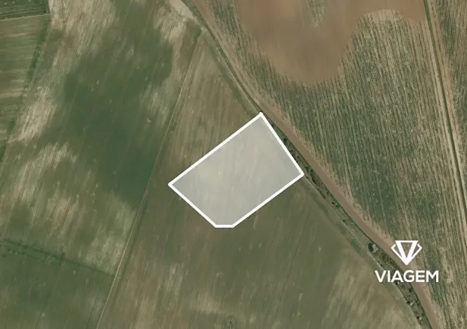 Prodej pole, Vinařice, 9786 m2