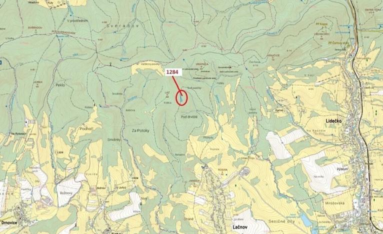 Dražba lesa, Lačnov, 3805 m2