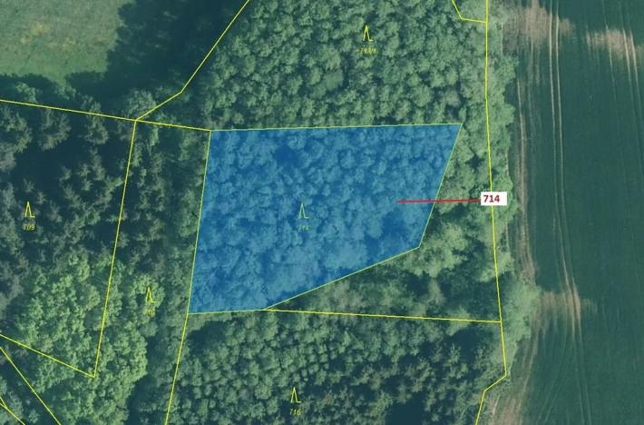 Dražba lesa, Kuřimany, 2850 m2