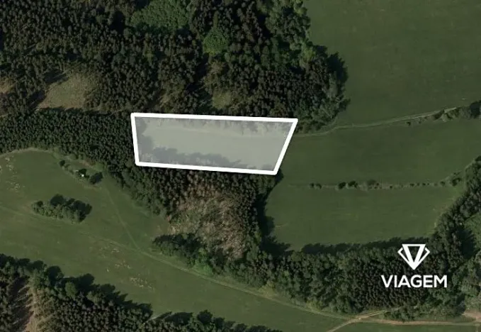 Prodej pole, Trutnov, 6753 m2