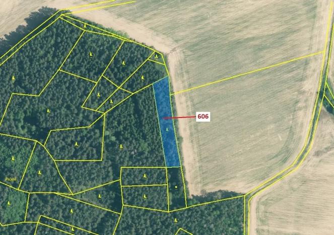 Dražba lesa, Kuřimany, 2526 m2