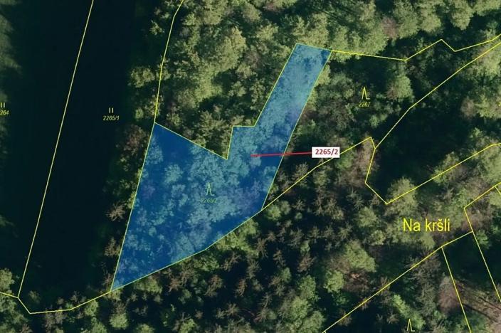 Dražba lesa, Zděchov, 2225 m2