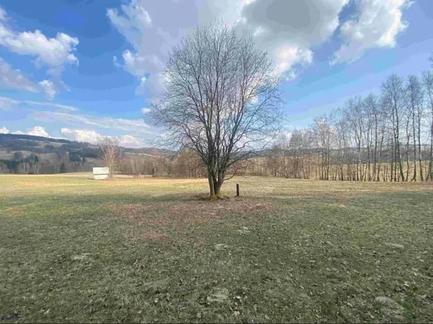 Dražba louky, Bartošovice v Orlických horách, 5738 m2