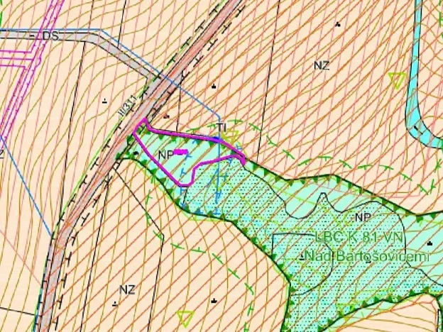Dražba louky, Bartošovice v Orlických horách, 5738 m2