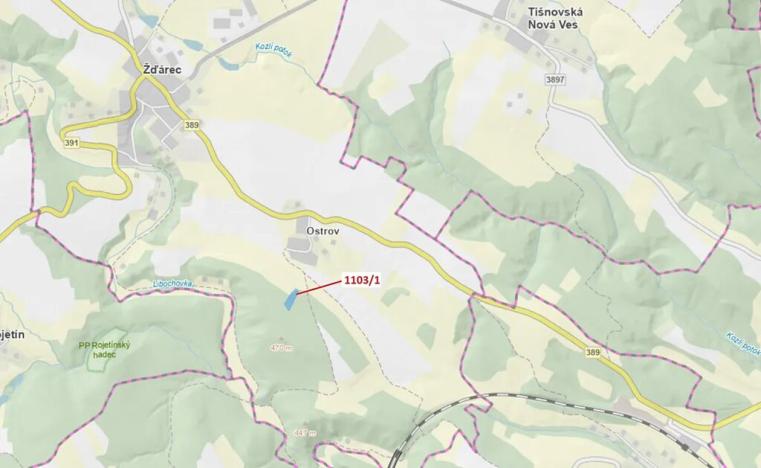 Dražba lesa, Žďárec, 3474 m2