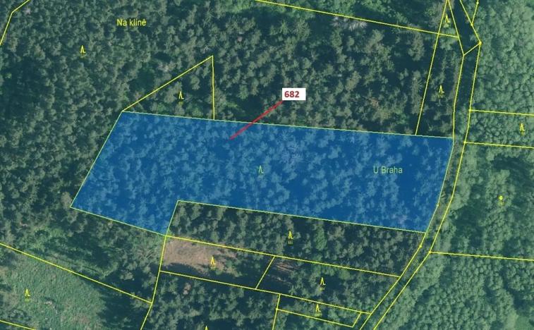 Dražba lesa, Kuřimany, 11584 m2