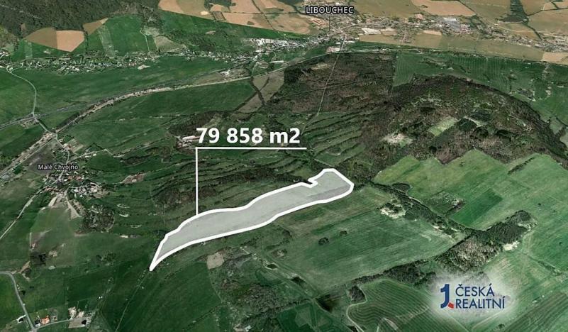 Prodej podílu pole, Velké Chvojno, 4436 m2