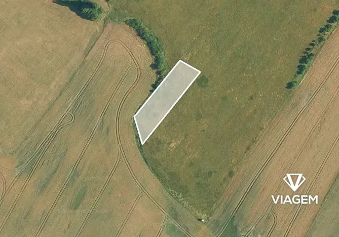 Prodej podílu pole, Dašice, 2447 m2