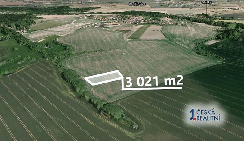 Prodej podílu pole, Radějovice, 755 m2