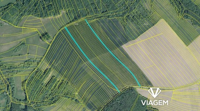 Prodej podílu pole, Velký Ořechov, 1333 m2