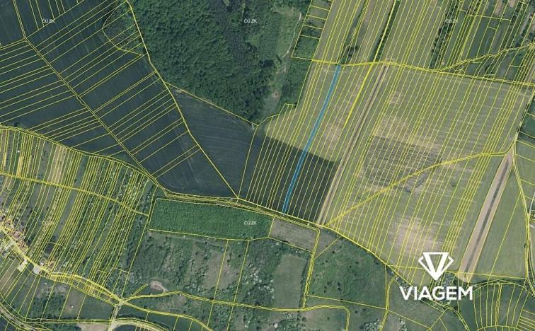 Prodej podílu pole, Částkov, 1542 m2