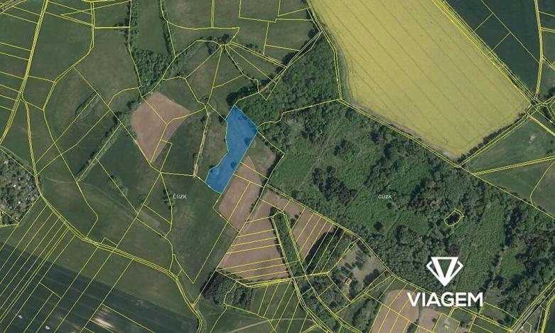 Prodej podílu pole, Klešice, 1145 m2