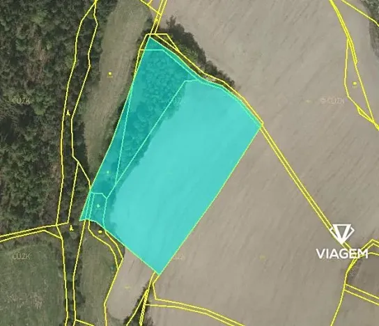 Prodej lesa, Kačlehy, 5447 m2