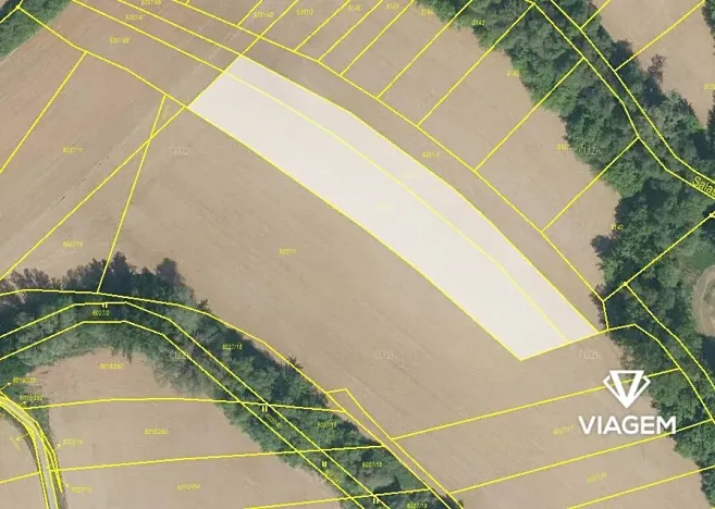 Prodej pole, Jalubí, 5899 m2