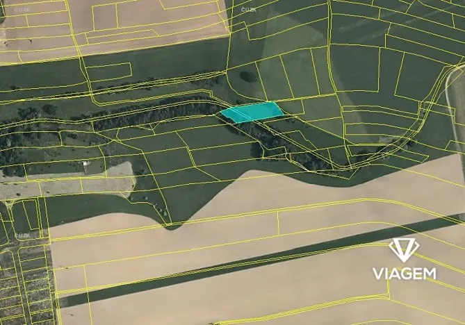 Prodej podílu pole, Ústí nad Orlicí, 606 m2
