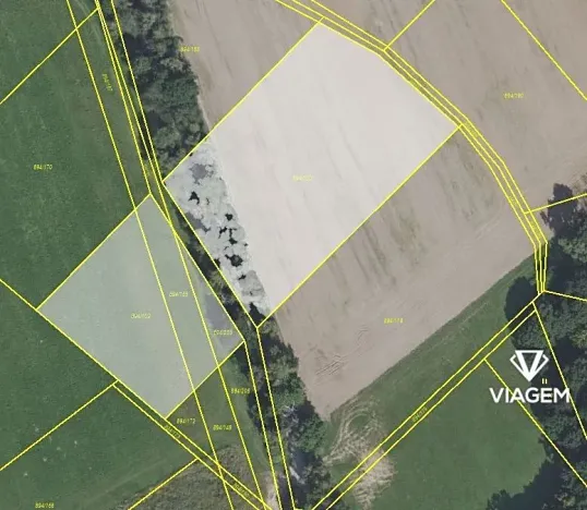 Prodej podílu pole, Škvorec, 1589 m2