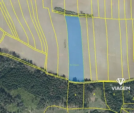 Prodej pole, Sedliště, 7553 m2