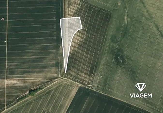 Prodej podílu pole, Litenčice, 1063 m2