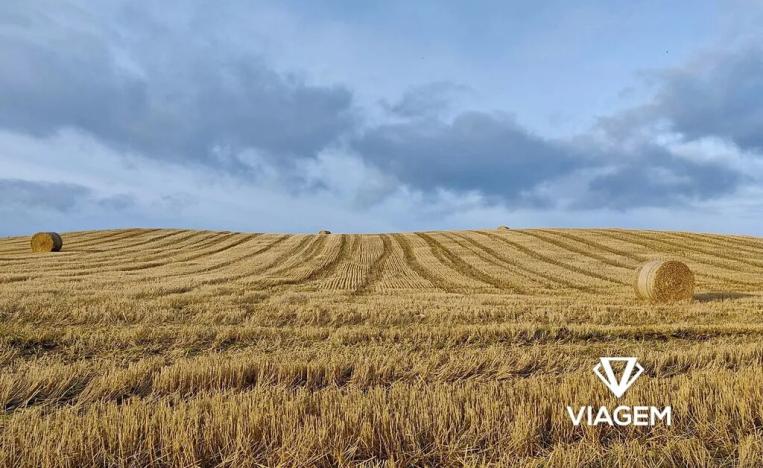 Prodej pole, Záhornice, 6270 m2