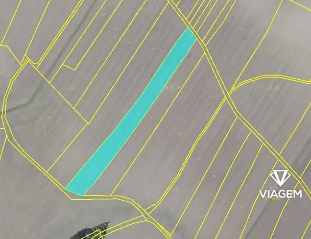 Prodej pole, Záhornice, 6270 m2