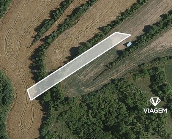 Prodej pole, Tučapy, 1405 m2