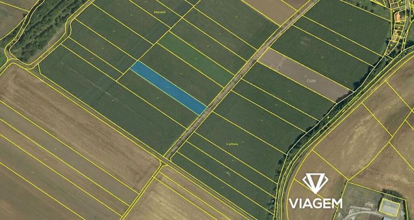 Prodej podílu pole, Sudice, 991 m2