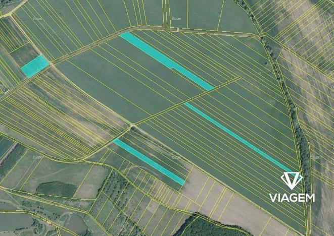 Prodej podílu pole, Pašovice, 5936 m2