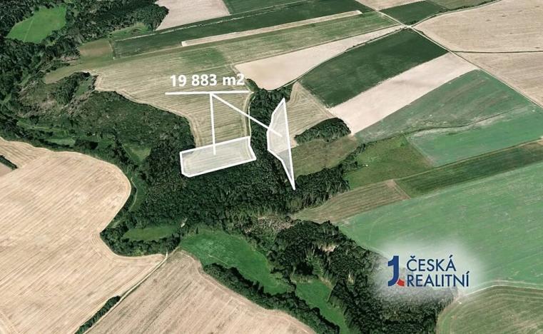 Prodej podílu pole, Šípy, 1011 m2