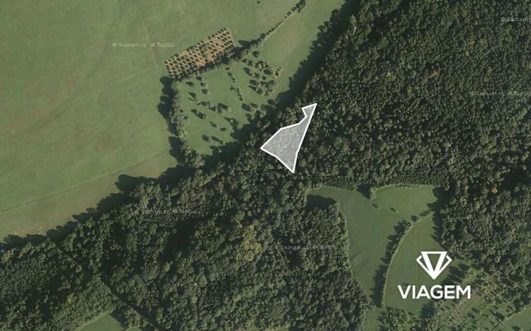 Prodej podílu lesa, Luhačovice, 2043 m2