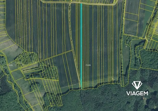 Prodej podílu pole, Nedachlebice, 644 m2