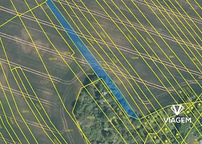 Prodej pole, Jalubí, 963 m2