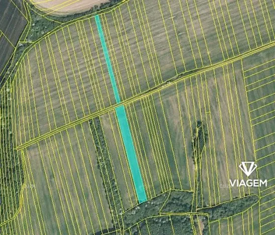 Prodej podílu pole, Březolupy, 2363 m2