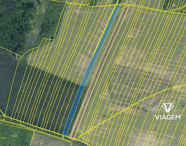 Prodej podílu pole, Částkov, 2904 m2