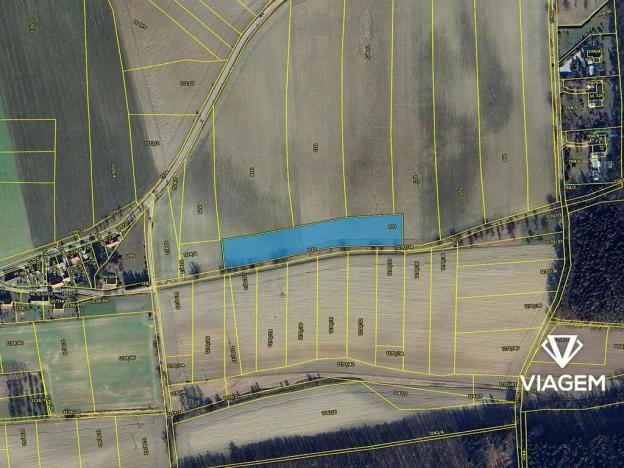 Prodej pole, Studnice, 8384 m2