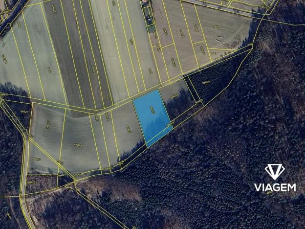 Prodej pole, Studnice, 6305 m2