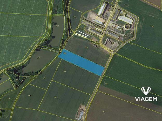 Prodej pole, Třebařov, 11501 m2