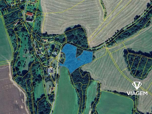 Prodej podílu lesa, Kravaře, 591 m2