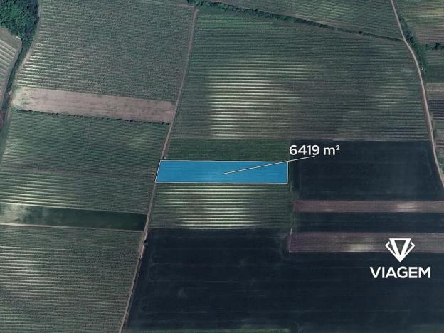 Prodej podílu pole, Přítluky, 229 m2