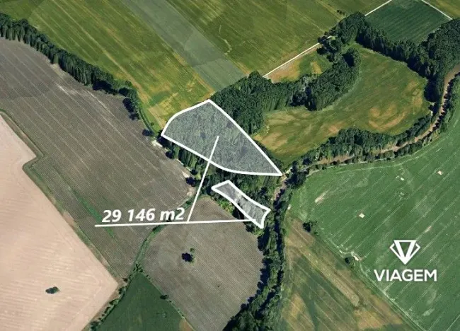 Prodej lesa, Opava, 25368 m2