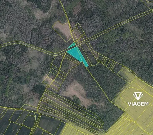 Prodej lesa, Račice, 5005 m2